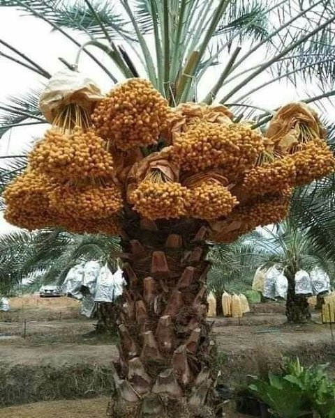   ..