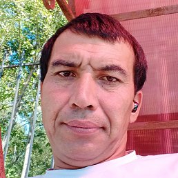 �������, ���������, 49 ���