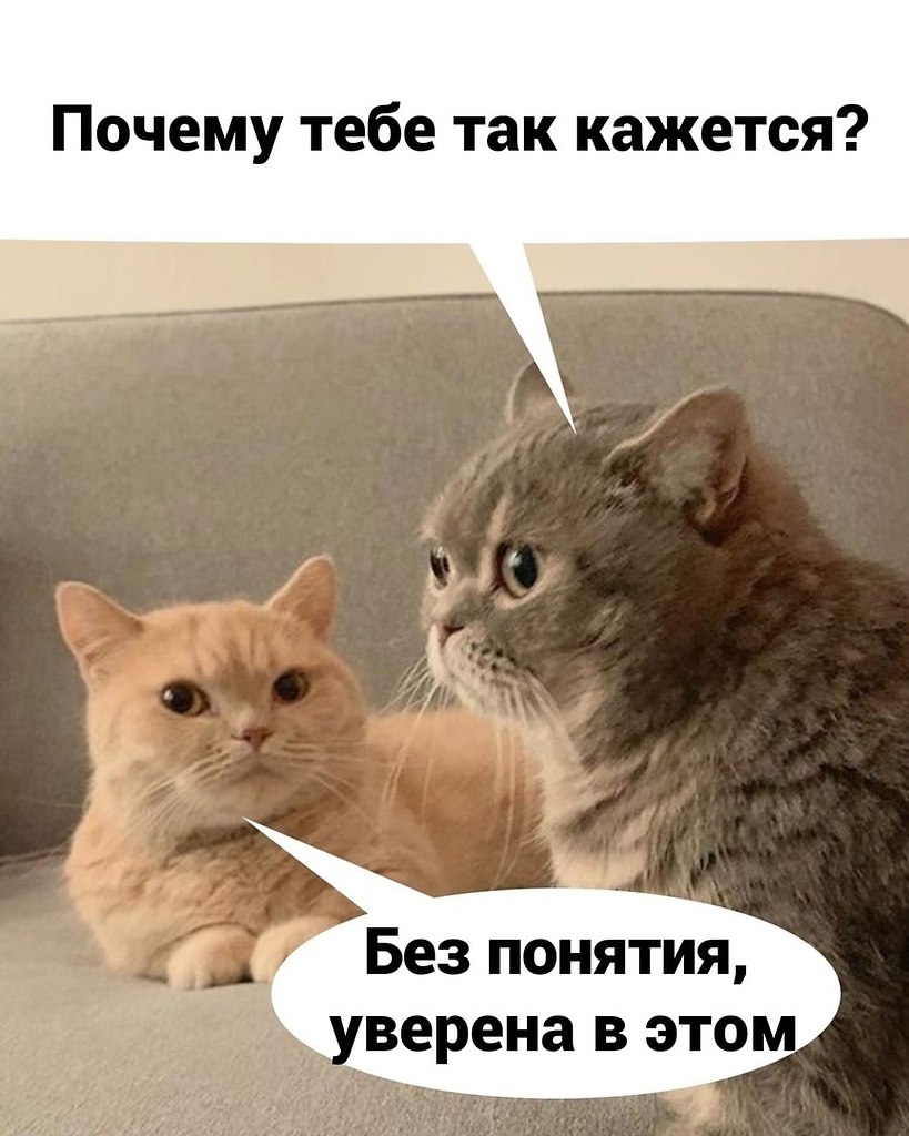   ..     ,   ,   ,   ,  ... - 2