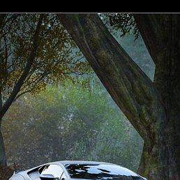 ����� ����, �����, 34 ����