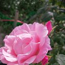 ���� ���������, ����� - ��������� 12 ���� 2023 � ������ ���� ����������