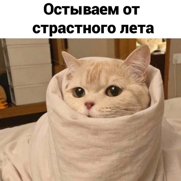   - 2