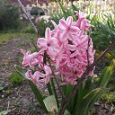 ���� ���������, ����� - ��������� 12 ���� 2023 � ������ ���� ����������