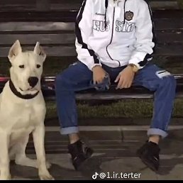 Akin, ����, 20 ���