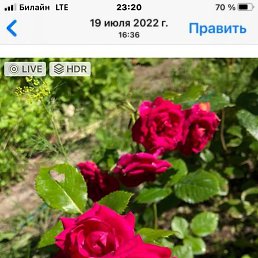  atalia 65, , 35  -  18  2023