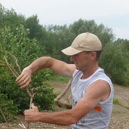 ������, ������, 64 ����