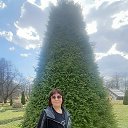 ���� �����, ������������, 62 ���� - ��������� 26 ������ 2023 � ������ ���� ����������