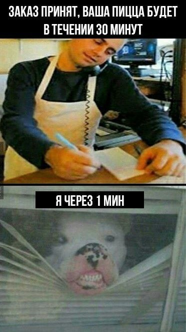    - 20  2023  17:41