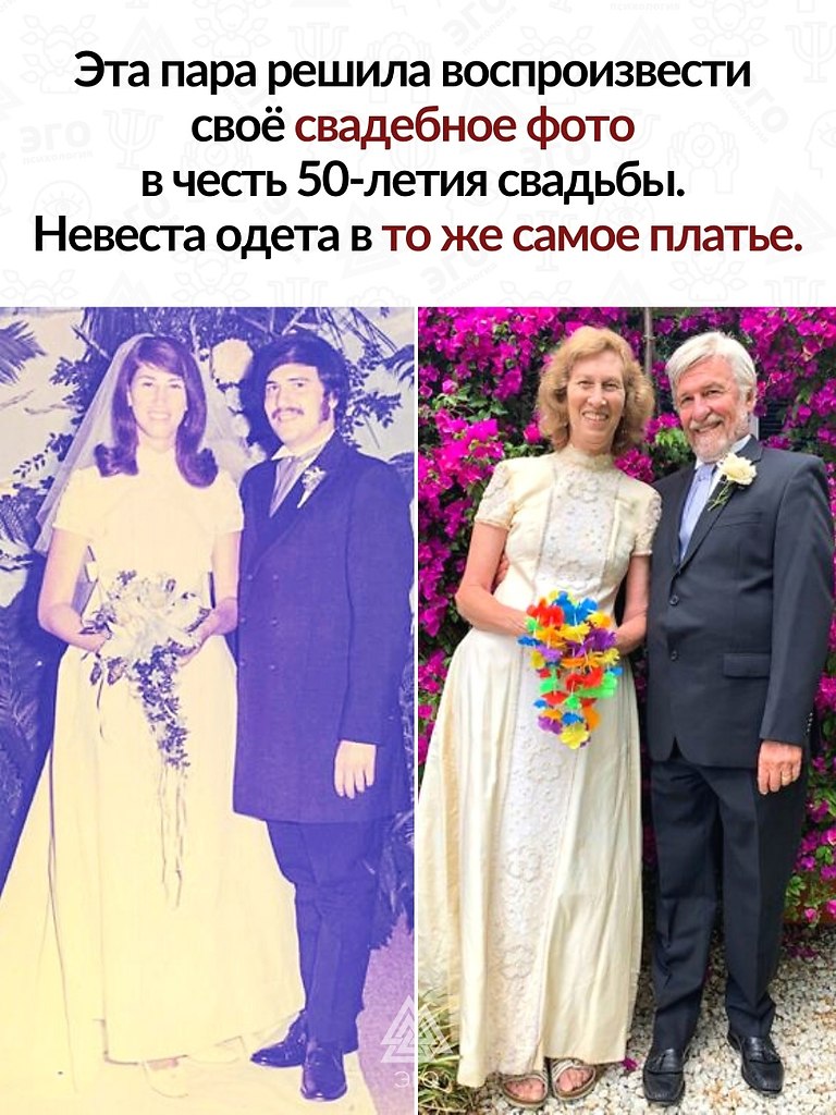      .,         .