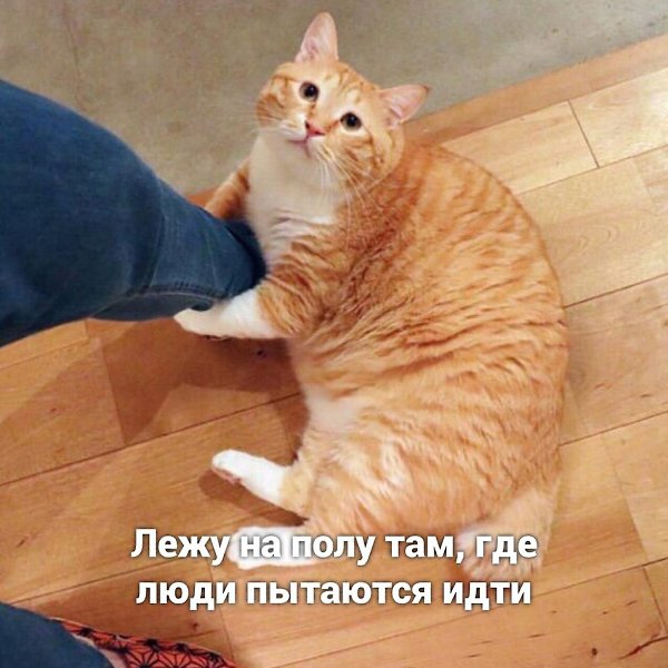    ? - 5