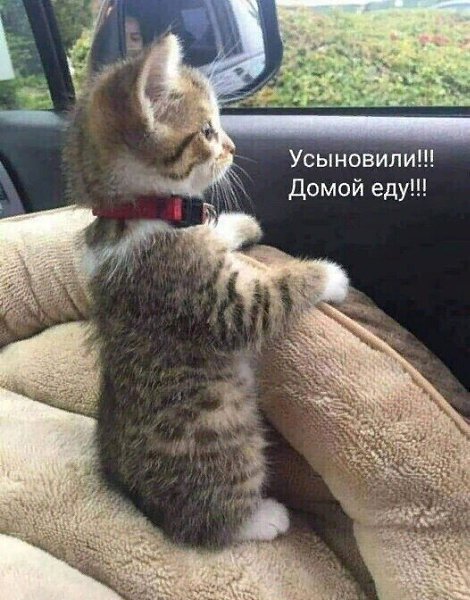 ~~~~~~~~~~~~~~~~~~~~~