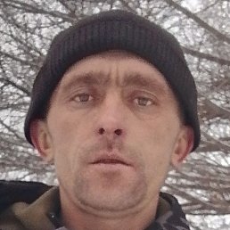 �������, ������ �����, 41 ���