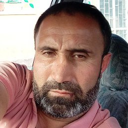 ������, �����-���������, 43 ����