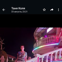 , 61, 