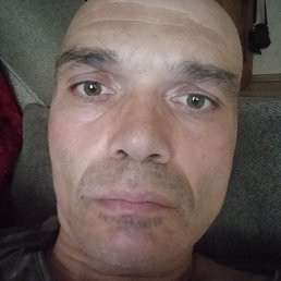 �������, ����������, 46 ���