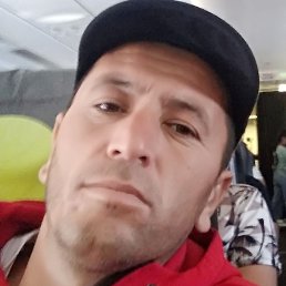 ��������, ������, 40 ���