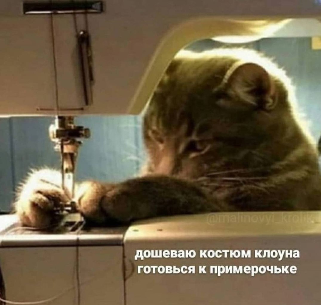    - 5  2023  16:19