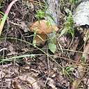 ���� ������, ������ - ��������� 23 ���� 2023 � ������ ������