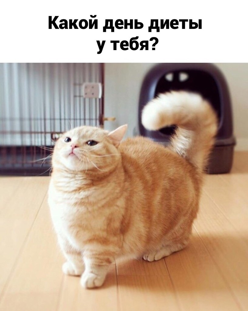  ,  - 3
