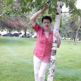 ���� ������, ���������, 64 ���� - ��������� 12 ������� 2023