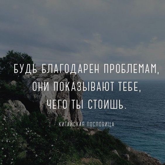   - 15  2023  09:01
