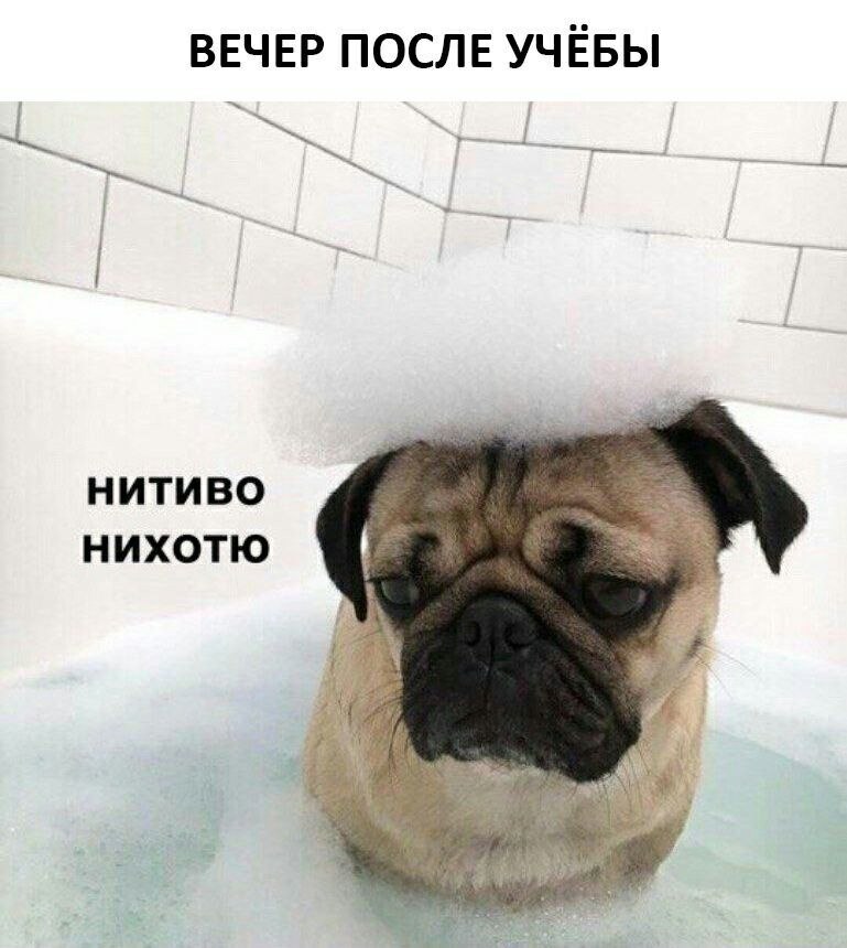    - 25  2023  12:43