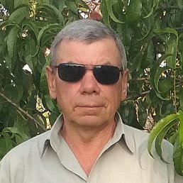 �������, ������, 65 ���