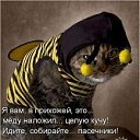 ���� ������, ������, 49 ��� - ��������� 1 ������� 2023