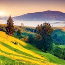 ���� Irakli, �������, 40 ��� - ��������� 3 ������� 2023 � ������ ���� ����������