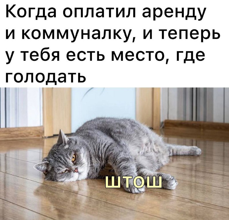   - 6  2023  14:21