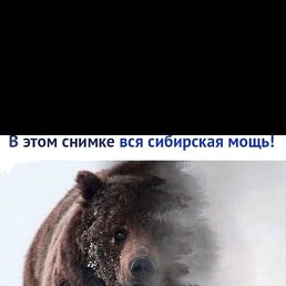 ���� ���������, �����-���������, 45 ��� - ��������� 7 �������� 2023