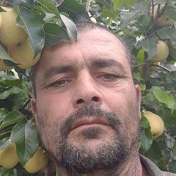 �����, �����������, 44 ����