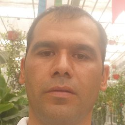 ������, �����, 34 ����