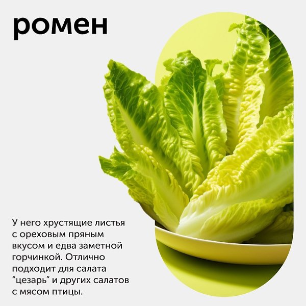 Гид по салатным листьям. Рассказываем в карточках про виды салатной зелени: какие они на вкус и для ...