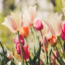 ���� �������, �������, 67 ��� - ��������� 8 ��� 2023