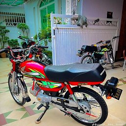 Zeeshan Ali, �������, 37 ���