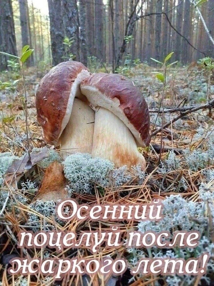~~~~~~~~~~