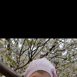���, ��������, 38 ���
