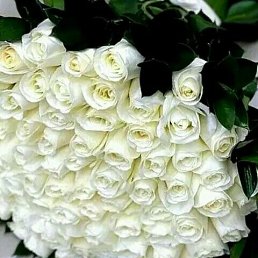 ���� ����, �������, 38 ��� - ��������� 5 ����� 2023