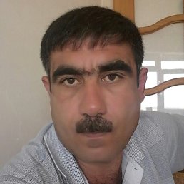 �tif, ����, 53 ����