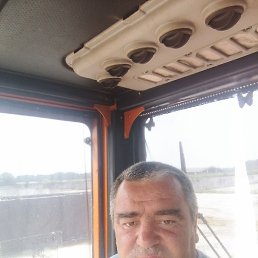 ������, �����, 44 ����