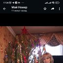 ���� �����, �����, 45 ��� - ��������� 7 ������ 2023 � ������ ���� ����������