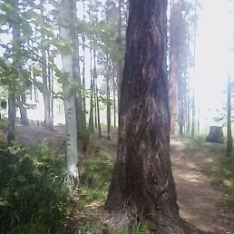 ������, ����-���, 49 ���