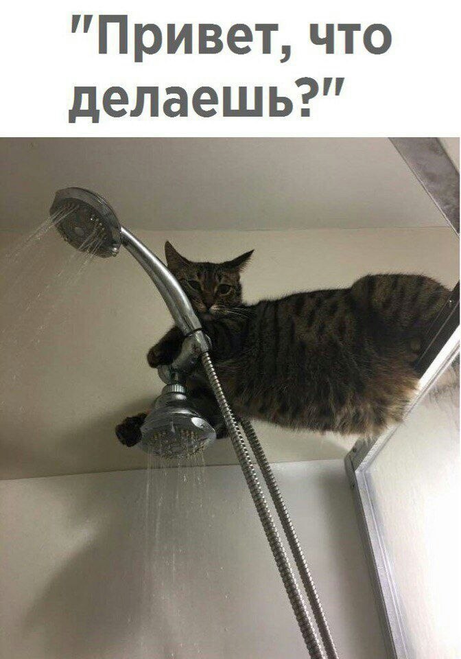   - 18  2023  13:43