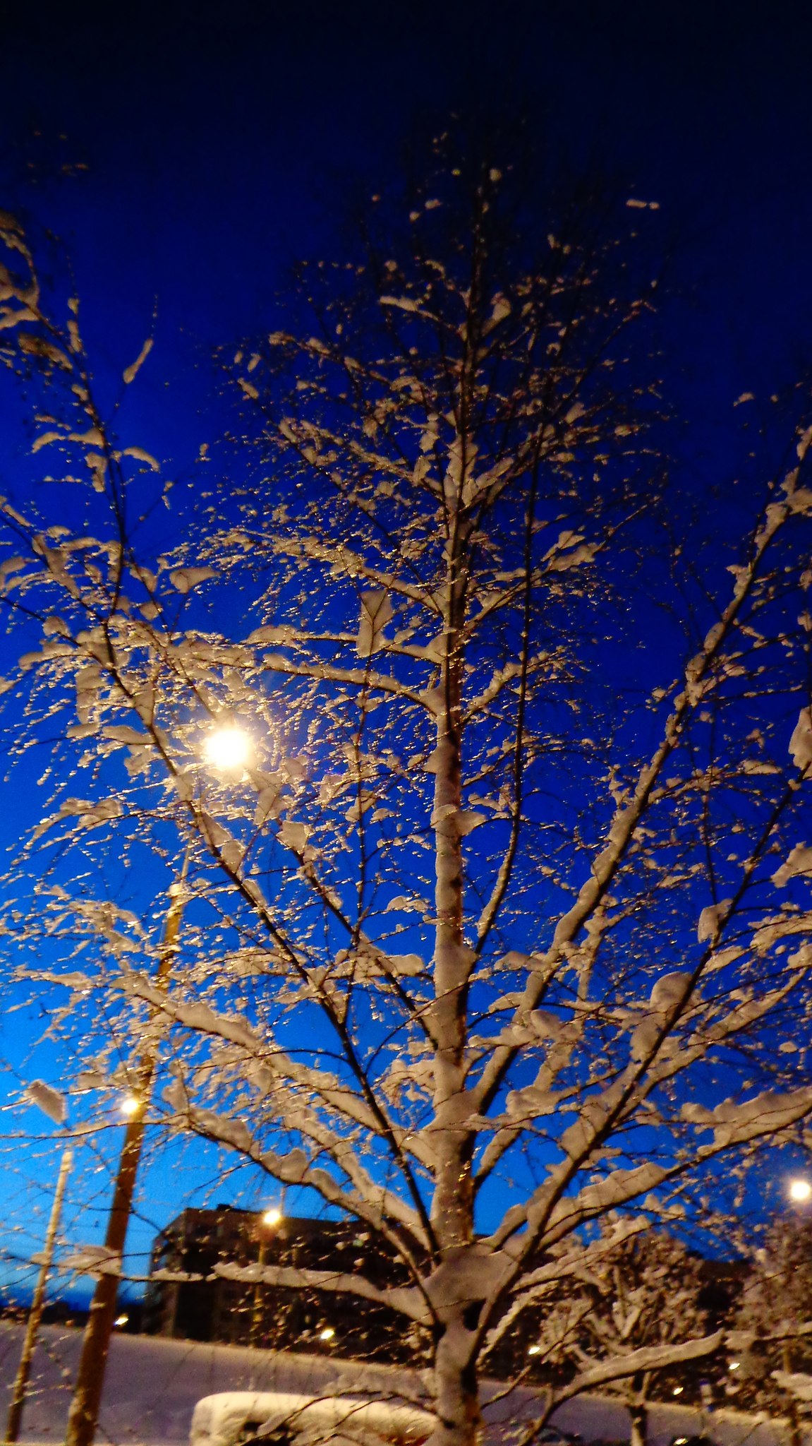   - 30  2023  17:25 - 4