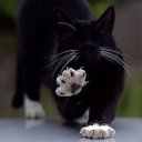 ���� ��������, ������-��-����, 49 ��� - ��������� 14 ���� 2023 � ������ ���� ����������