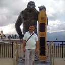 ���� ����, ������, 63 ���� - ��������� 9 ��� 2023