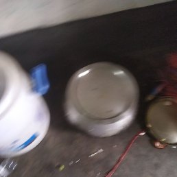 Gxvy, ����, 42 ����