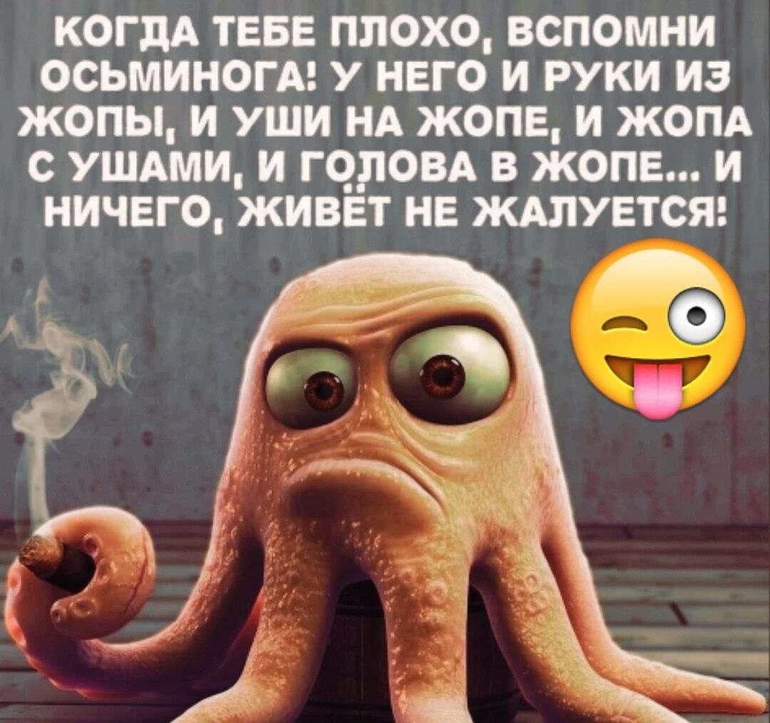 ������� - 25 �������� 2023 � 13:09