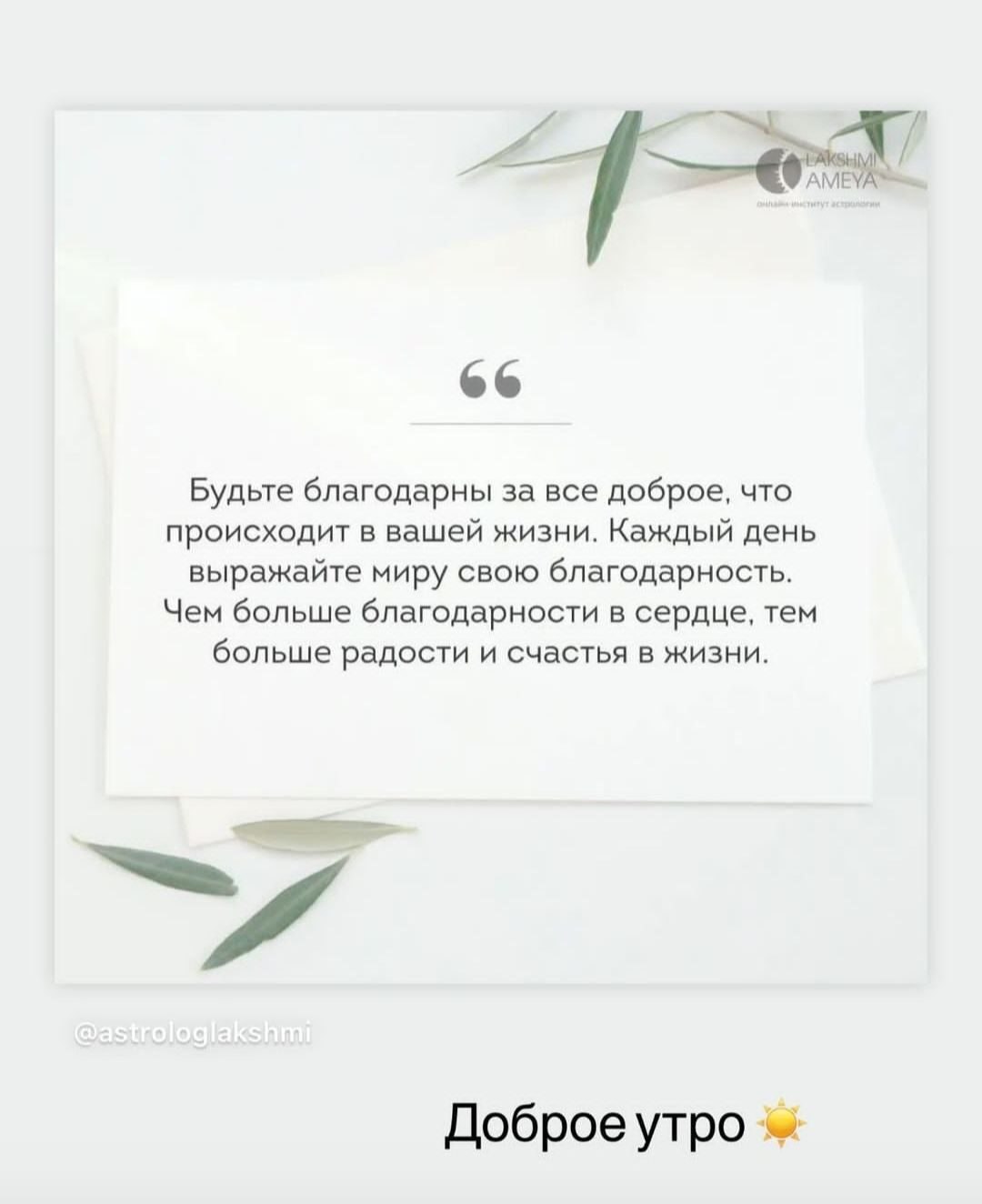 ***Victoria Viktorovna*** - 6  2023  07:44